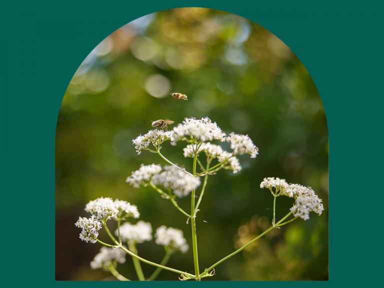 We geven om de natuur