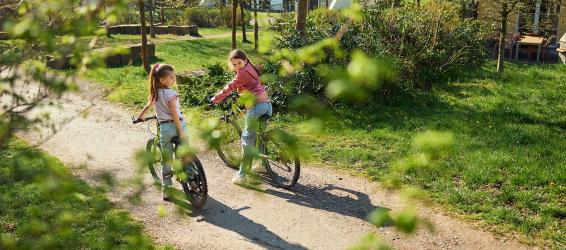 Wat te doen op Parc Sandur en De Huttenheugte?