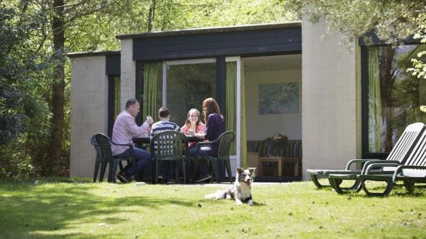 Eingezäuntes Ferienhaus mit Hund in Holland