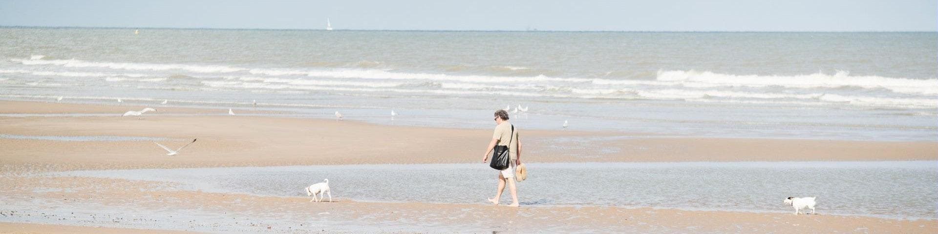 Urlaub in Belgien am Meer