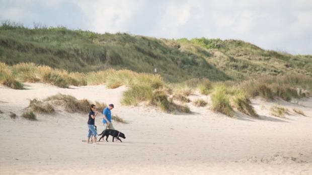 Ferienhaus mit Hund am Meer