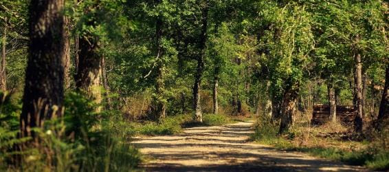 Een beschermd gebied rijk aan biodiversiteit!